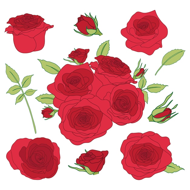 Vecteur set de collection de roses rouges et de feuilles vertes pour les cartes de vœux de mariage ou de la saint-valentin