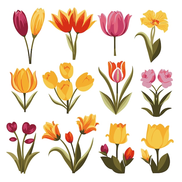 Set De Collection De Tulipes Vectorielles