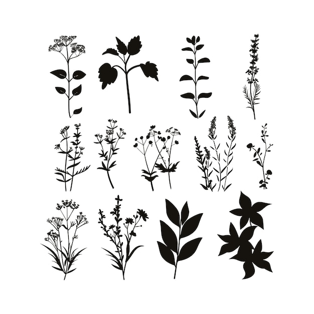 Set de conception d'illustration artistique de fleurs de couleur noire
