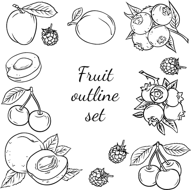 Set de contours de fruits dessinés à la main Dessin de fruits avec des lettres