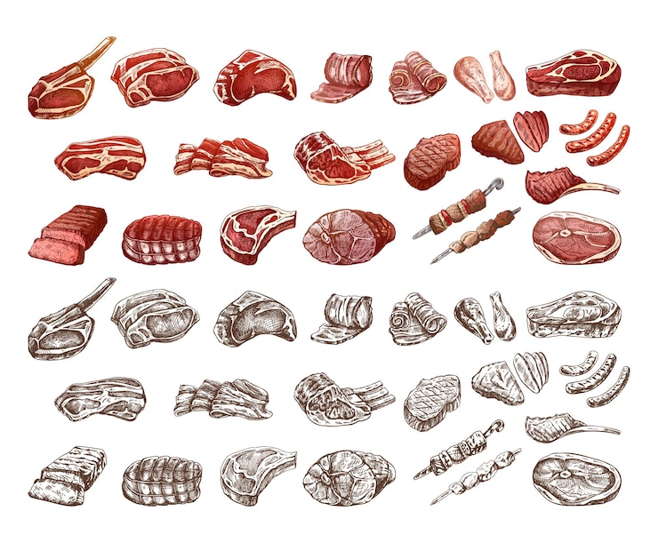 Vecteur set de croquis colorés et monochromes dessinés à la main de différents types de steaks de viande kebabs de poulet