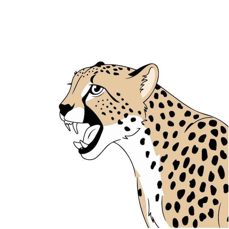 Vecteur set de dessins animés de guépard
