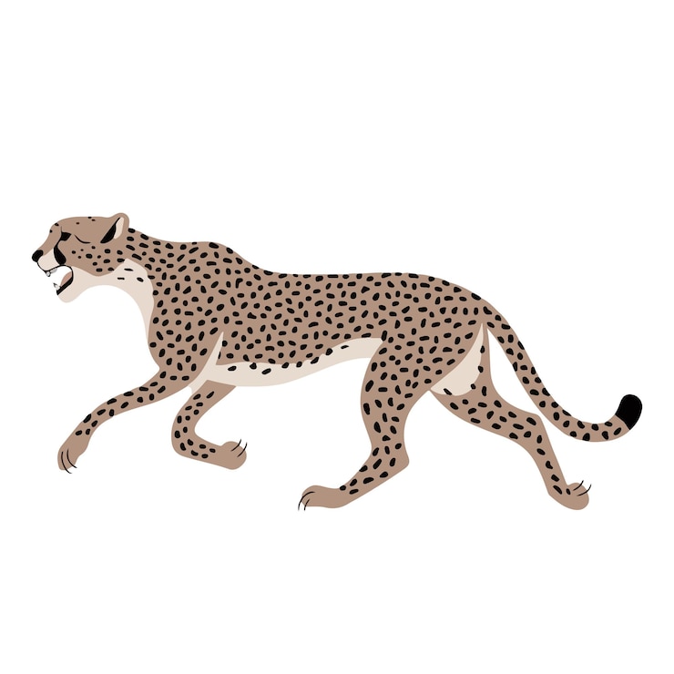 Vecteur set de dessins animés de guépard