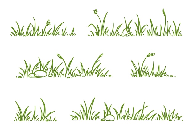 Set de dessins dessinés d'herbe dessinés à la main contour de terrain d'herbes griffonné arrière-plan fleur de germe