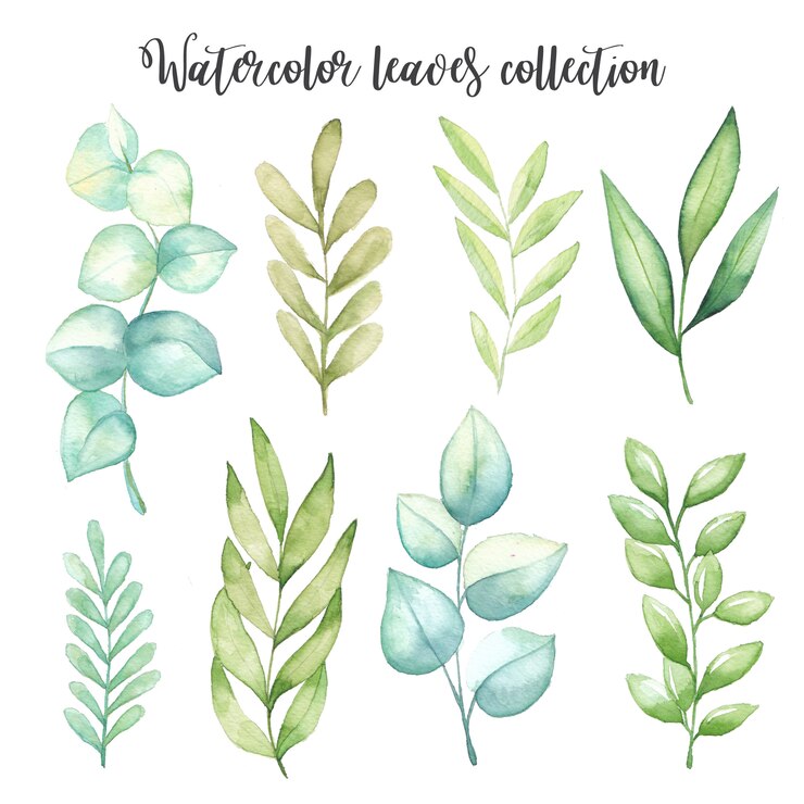 Set de feuilles d&#39;aquarelle