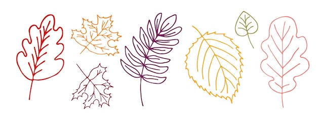 Set de feuilles d'automne dessinées à la main