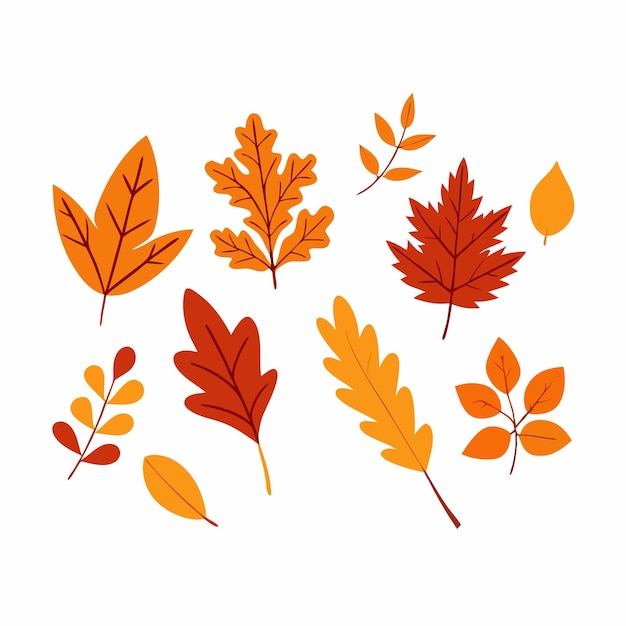 Set avec des feuilles d'automne isolées sur fond blanc Peut être utilisé pour la décoration 22