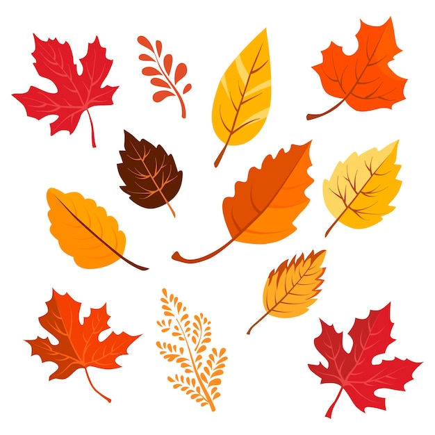 Set de feuilles sèches jaunes vectorielles d'automne Illustration plate avec des plantes brunes pour la conception
