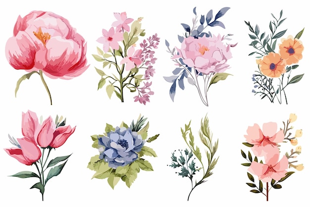 Set De Fleurs à L'aquarelle