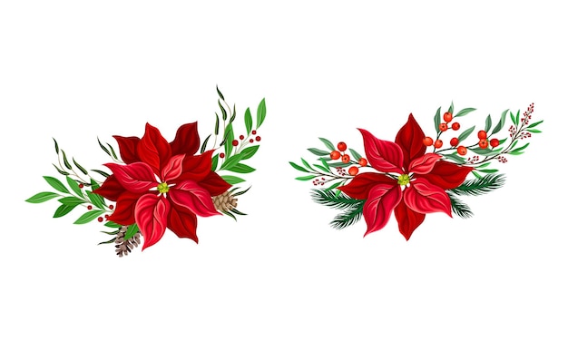 Set de fleurs de poinsettia rouge décorations de Noël avec de belles branches de sapin et illustration vectorielle de holly