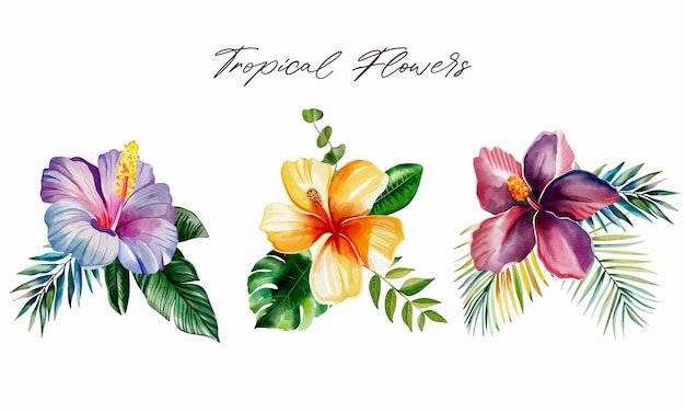 Set de fleurs tropicales à l'aquarelle Bouquets tropicaux avec des feuilles colorées Le feuillage exotique fleurs sauvages