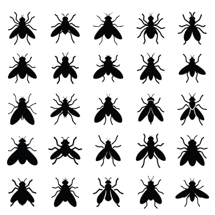 Vecteur set d'icônes de silhouettes de mouches