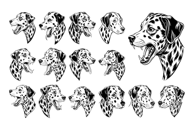 Set D'illustrations De Tête De Chien Dalmatien Dessiné à La Main