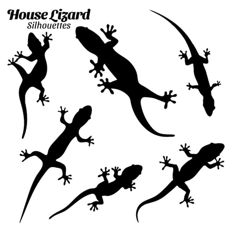 Vecteur set d'illustrations vectorielles de la silhouette de lézard mural
