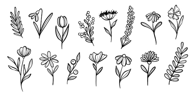 Set d'illustrations végétales, de griffons de fleurs vectoriels, de clips art botaniques