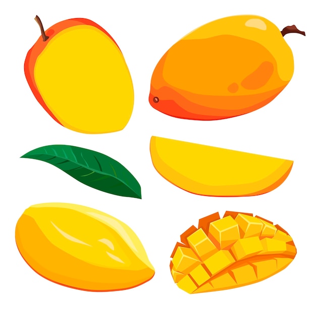 Set de mangues jaunes et rouges et tranches de fruits vectoriels isolés dans le style plat Clipart d'été pour la conception