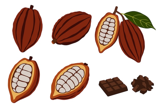 Set of cocoa beans vector logo isolated on white backgroundperfect for wallpaper or design elements