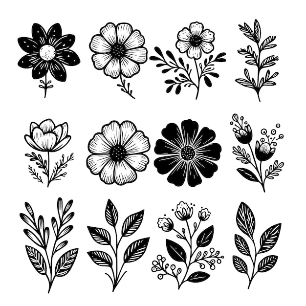 Vecteur set of simple monochromatic hand drawn style of flower elements