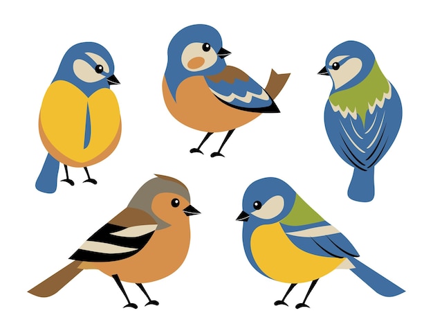 Set of spring birds blue tit and finch different colorful birds in flat cartoon style isolated on