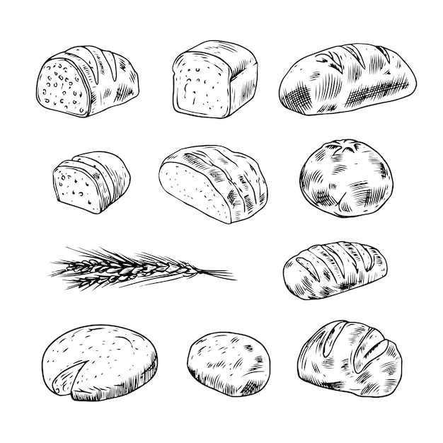 Set de pain dessiné à la main avec des éléments de griffon réaliste en couleur noire