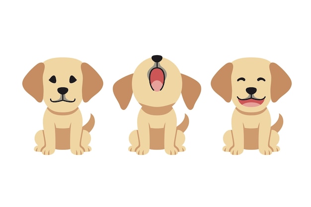 Set De Personnages De Dessins Animés Vectoriels Mignon Chien Labrador Récupérateur