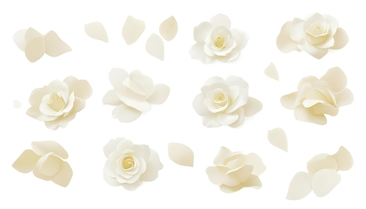 Set de roses blanches avec pétales Éléments de design floral