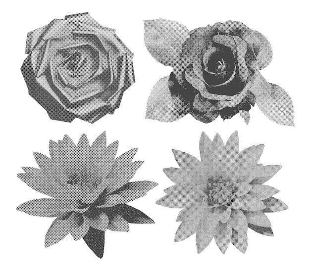 Set de roses et de lis avec un effet de photocopie rétro Set de fleurs avec des feuilles