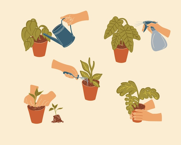 Set de séquences vectorielles de soins des plantes d'intérieur