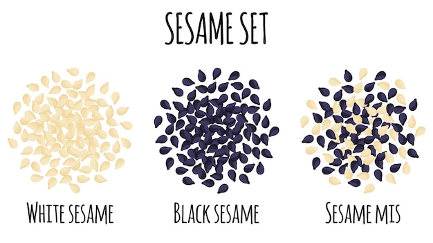 Vecteur set sésame avec blanc noir et mélange de sésame