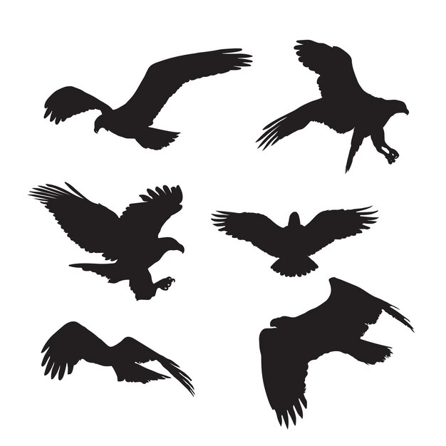 Set de silhouettes d'aigle dessinées à la main