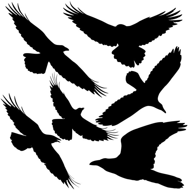 Set de silhouettes d'animaux dessinées à la main Silhouette d'Halloween terrifiante Silhouette de corbeau ou silhouette de couronne