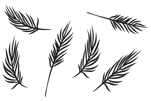 Set De Silhouettes De Feuilles De Palmiers Tropicaux Illustration Vectorielle Eps 10