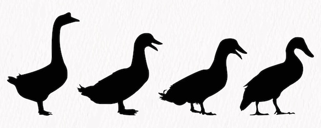 Vecteur set de silhouettes vectorielles d'oie-canard de qualité détaillée et de bébé-canard dans une ferme