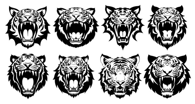 Set de têtes de tigre avec la bouche ouverte et les crocs découverts avec différentes expressions de colère du museau Symboles pour le tatouage emblème ou logo isolé sur un fond blanc