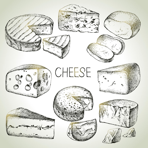 Vecteur set de types de fromage dessiné à la main illustration vectorielle d'aliments naturels