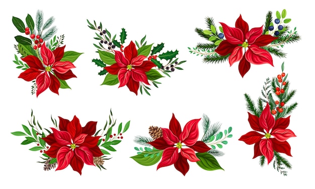 Set vectoriel de composition de fleurs de poinsettia avec des branches de sapin et des brindilles de baies