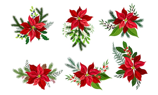 Set vectoriel de composition de fleurs de poinsettia avec des branches de sapin et des brindilles de baies
