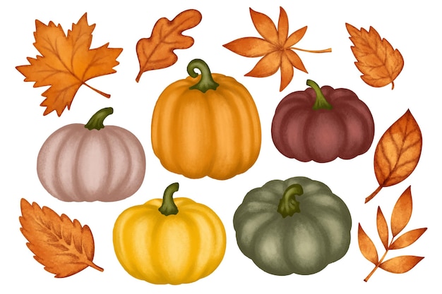 Set vectoriel de feuilles d'automne et de citrouilles en aquarelle isolées sur blanc