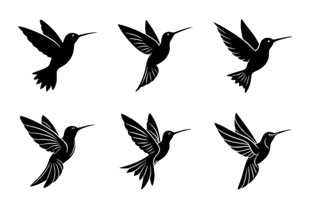 Set vectoriel de silhouettes de colibris Illustrations élégantes d'oiseaux volants pour les logos, les tatouages et les autocollants