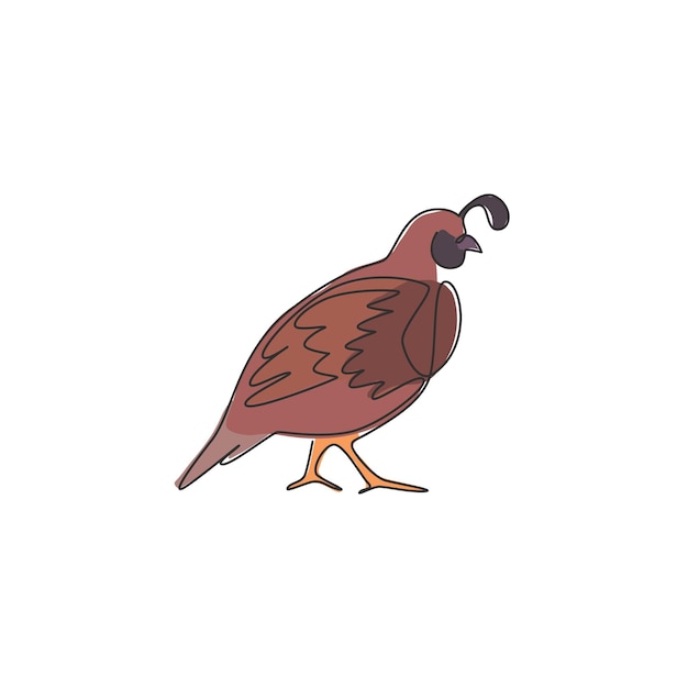 Vecteur un seul dessin d'une drôle de caille de vallée, mascotte d'oiseau de caille de californie, icône du zoo du parc national