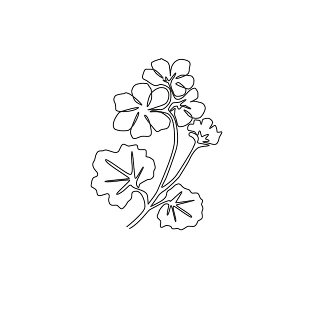 Vecteur un seul dessin de géranium de beauté pour un logo de jardin fleur de cranesbills pour le textile de mode