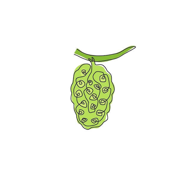 Vecteur un seul dessin en ligne continue du logo du verger de noni tropical en bonne santé avec une icône de fruits frais