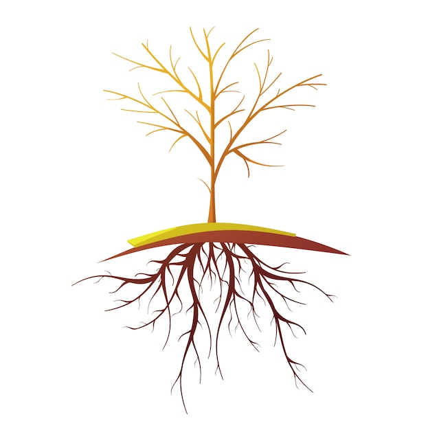 Vecteur seul petit arbre chauve avec racines illustration vectorielle de plat cartoon rétro isolé
