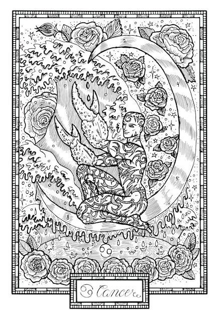 Signe Du Zodiaque Cancer Illustration Vectorielle Graphique De Fantaisie Dessinée à La Main Dans Le Cadre
