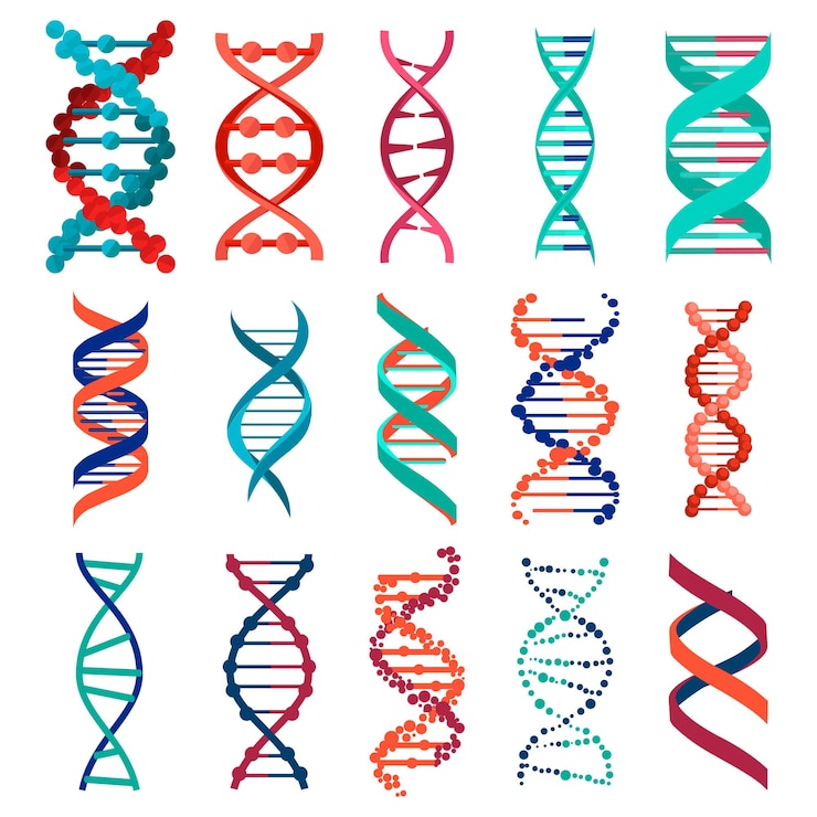 Vecteur le signe de la molécule d'adn définit les éléments génétiques et le brin de collection d'icônes
