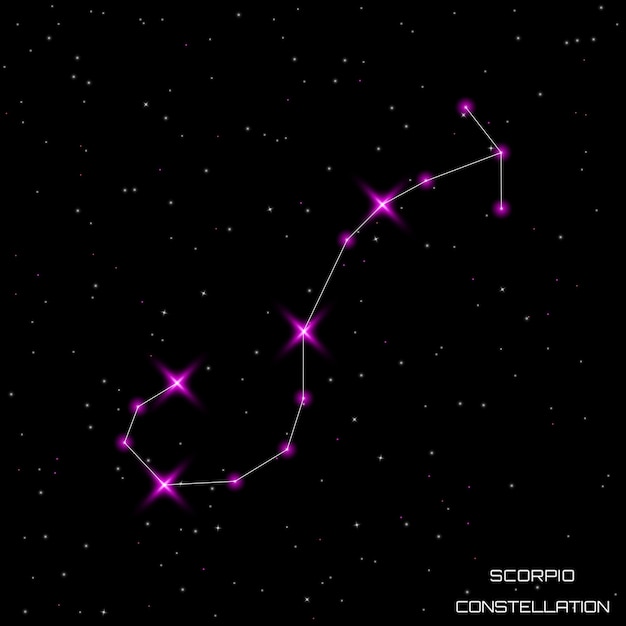 Vecteur les signes du zodiaque la constellation du scorpion dans le ciel étoilé noir illustration vectorielle