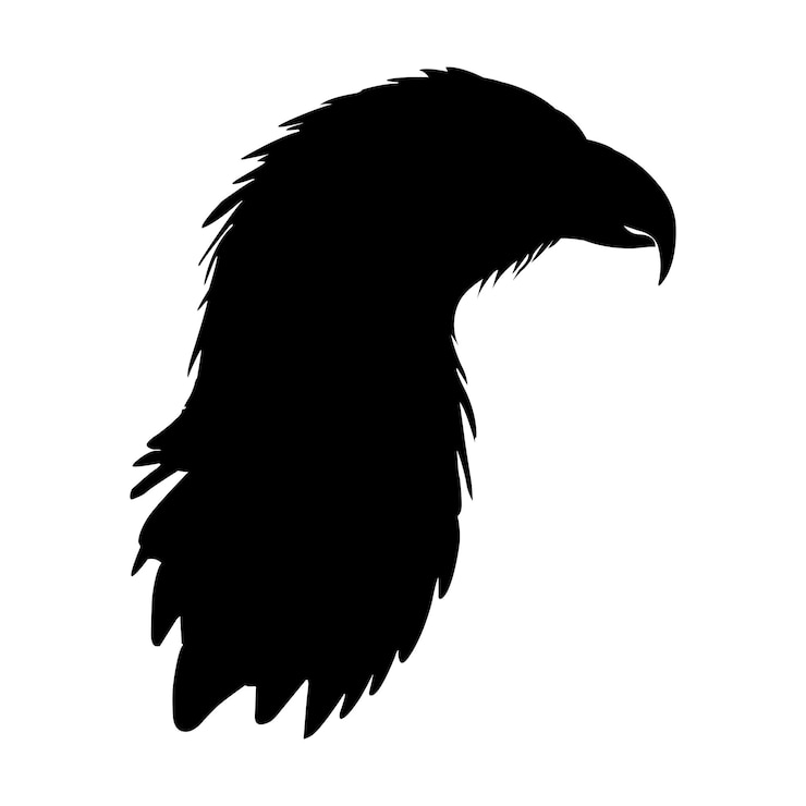 Vecteur silhouette d'aigle sur blanc