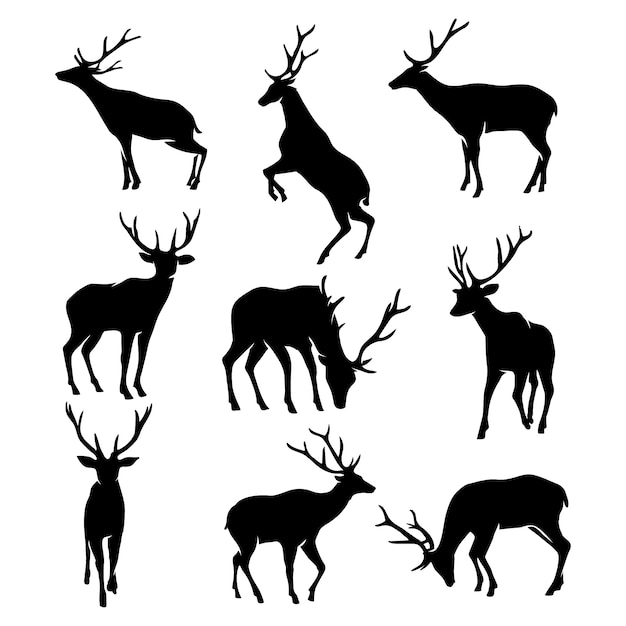 Silhouette animale dessinée à la main