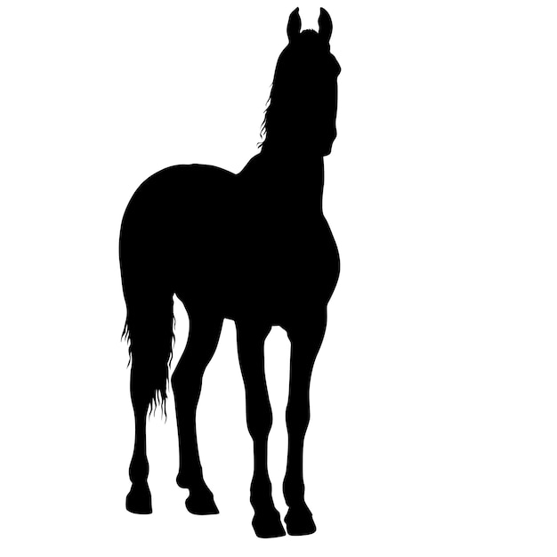 Vecteur silhouette animale d'illustration de cheval mustang noir