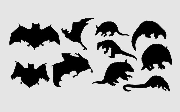 Vecteur silhouette animalière chauve-souris et fourmilier